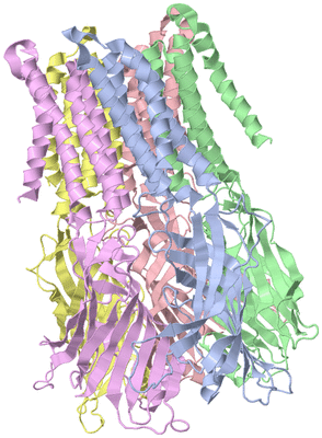 Image Biological Unit 1