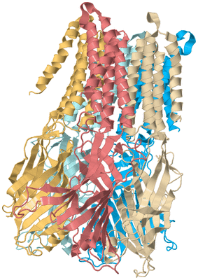 Image Biological Unit 2