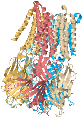 Image Biological Unit 2