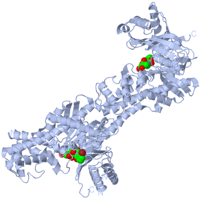 Image Biological Unit 1