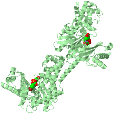 Image Biological Unit 2