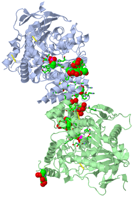 Image Asym./Biol. Unit - sites