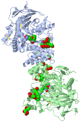 Image Asym./Biol. Unit