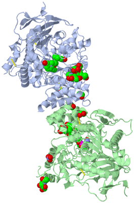 Image Asym./Biol. Unit