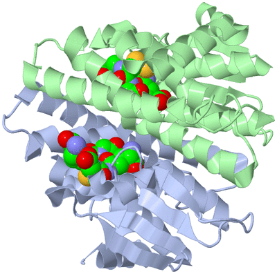 Image Asym./Biol. Unit