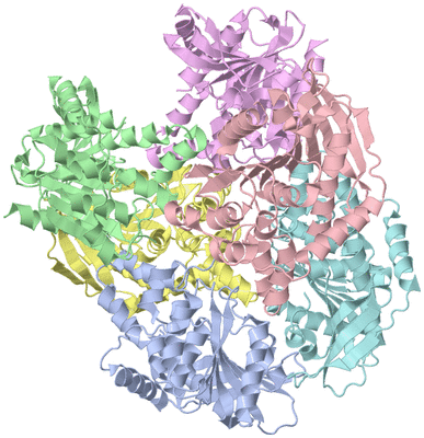 Image Asym./Biol. Unit