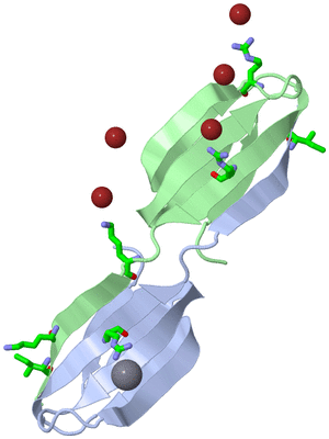 Image Asym./Biol. Unit - sites