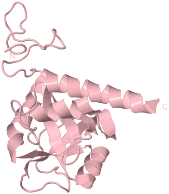 Image Biological Unit 3