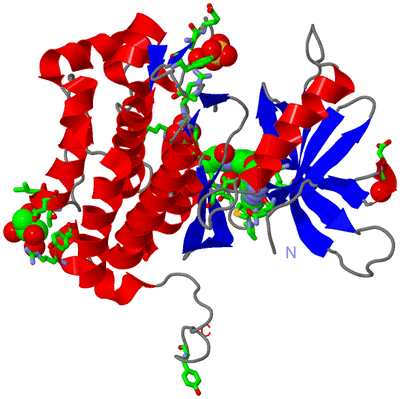 Image Asym./Biol. Unit - sites