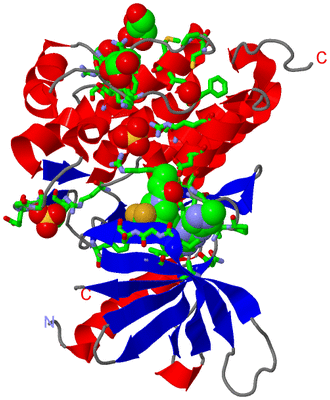 Image Asym./Biol. Unit - sites