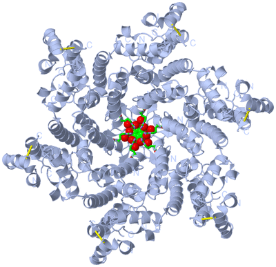 Image Biol. Unit 1 - sites