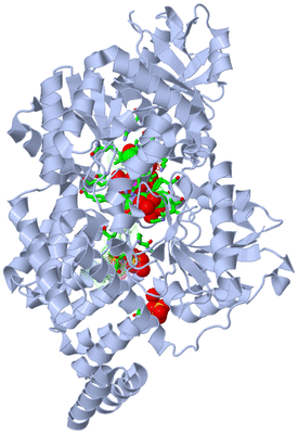 Image Biol. Unit 1 - sites