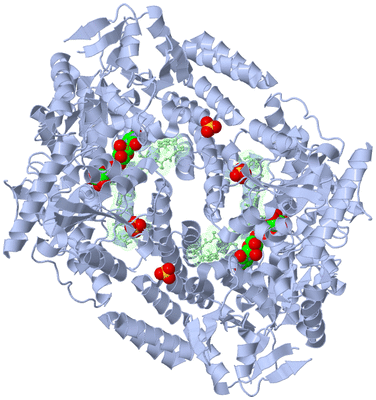 Image Biological Unit 3