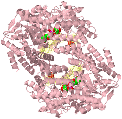 Image Biological Unit 4