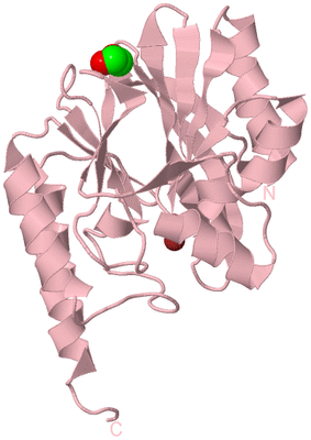 Image Biological Unit 3