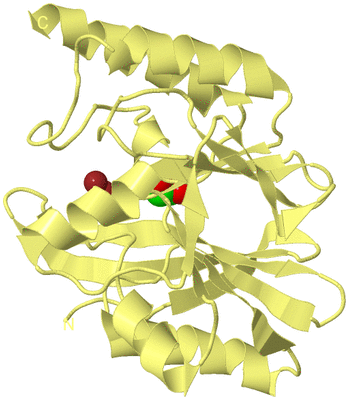 Image Biological Unit 4