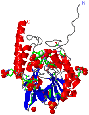 Image Asym./Biol. Unit - sites