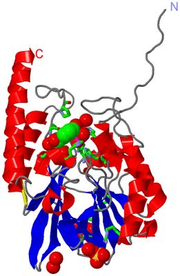 Image Asym./Biol. Unit - sites