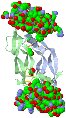 Image Biological Unit 1