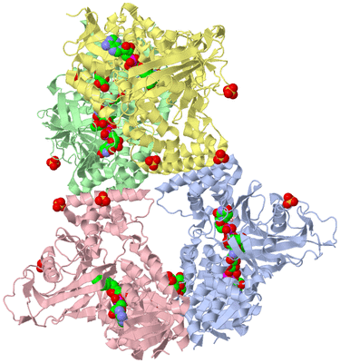 Image Asym./Biol. Unit