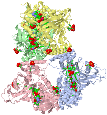 Image Asym./Biol. Unit - sites