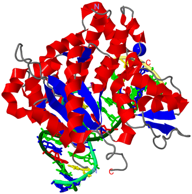 Image Asym./Biol. Unit