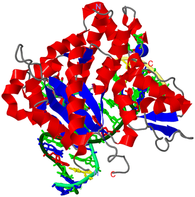 Image Asym./Biol. Unit - sites