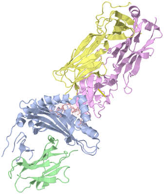 Image Biological Unit 1