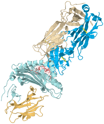 Image Biological Unit 2