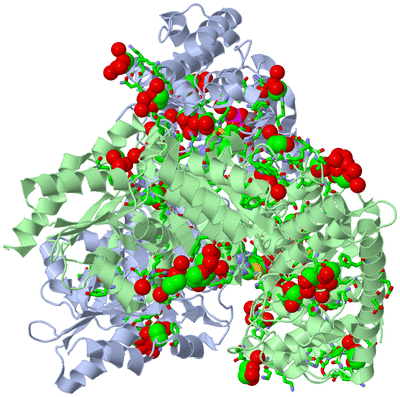 Image Asym./Biol. Unit - sites