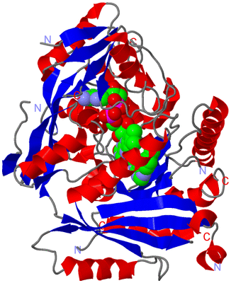 Image Asym./Biol. Unit