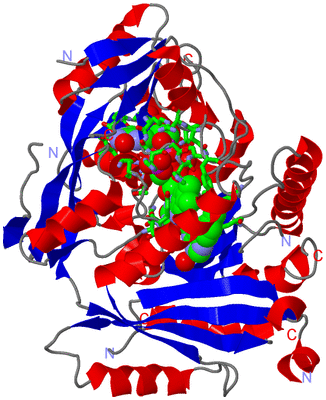 Image Asym./Biol. Unit - sites