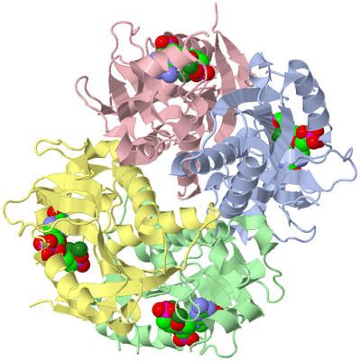 Image Asym./Biol. Unit