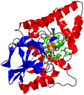 Image Asym./Biol. Unit - sites