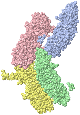 Image Asymmetric Unit