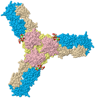 Image Biological Unit 1