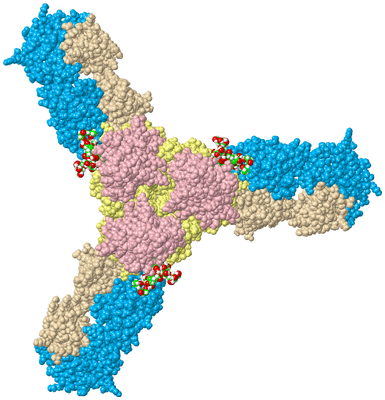 Image Biol. Unit 1 - sites