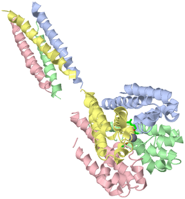 Image Asym./Biol. Unit - sites