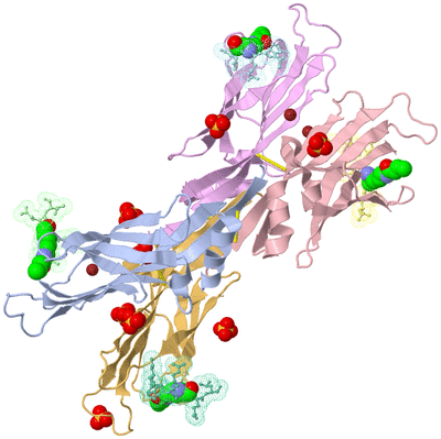 Image Biological Unit 1