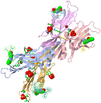 Image Biol. Unit 1 - sites