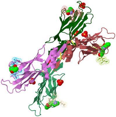 Image Biological Unit 2