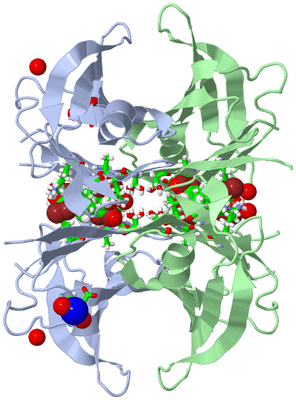 Image Biol. Unit 1 - sites