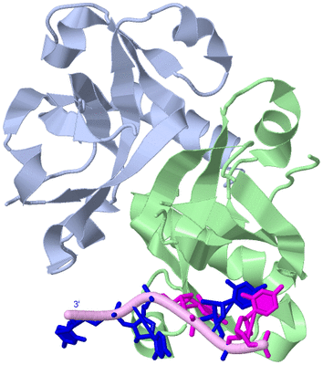 Image Biological Unit 1