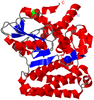 Image Asym./Biol. Unit