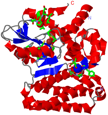 Image Asym./Biol. Unit - sites