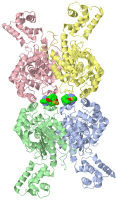 Image Asym./Biol. Unit