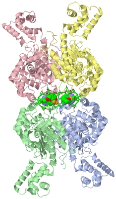 Image Asym./Biol. Unit - sites