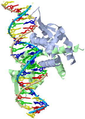 Image Biological Unit 1