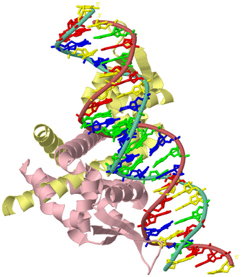 Image Biological Unit 2