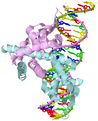 Image Biological Unit 3